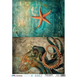 copy of 